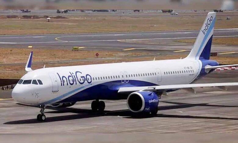 indigo flight