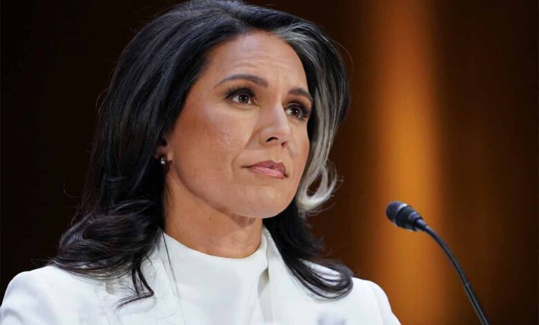 tulsi gabard