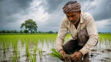 kisan