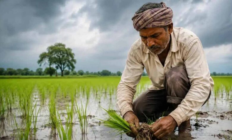 kisan