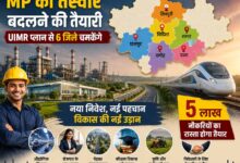 mp news
