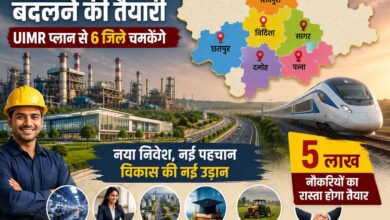 mp news