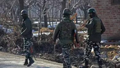 sopore atteck