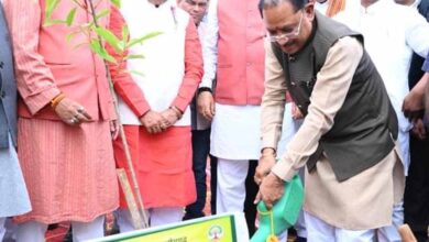 CM sai with tree