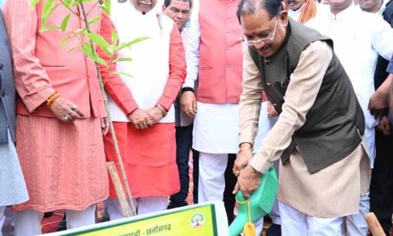 CM sai with tree