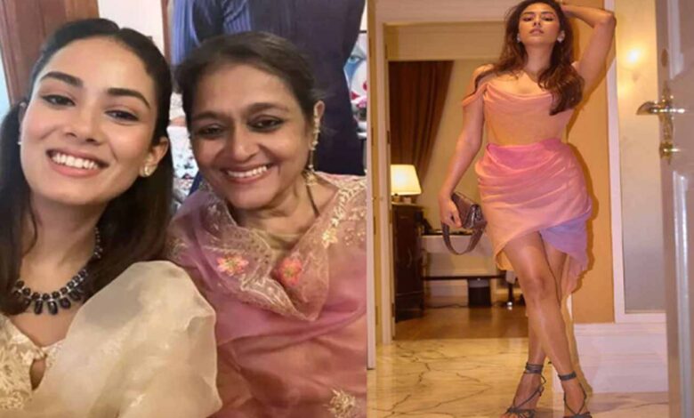 Mira Rajput Health Bar