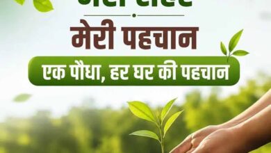 Namo Green City Scheme