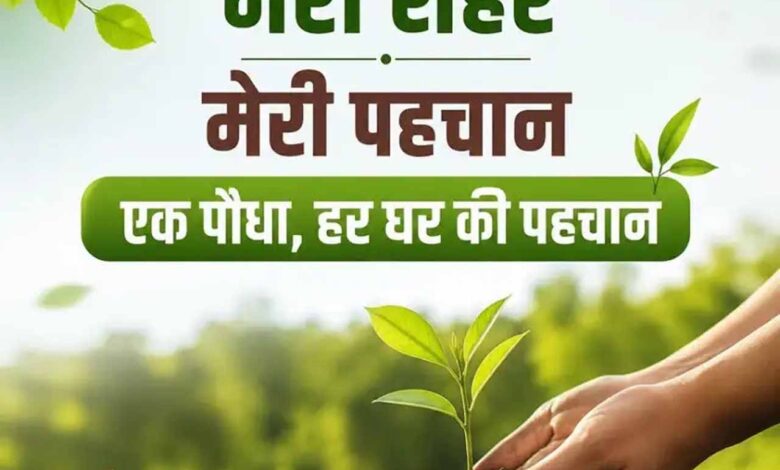 Namo Green City Scheme