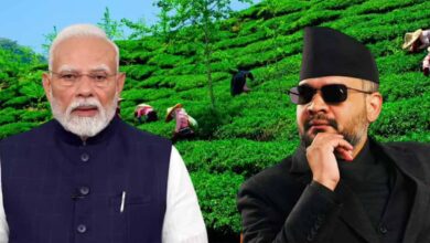 Nepal Tea Export India