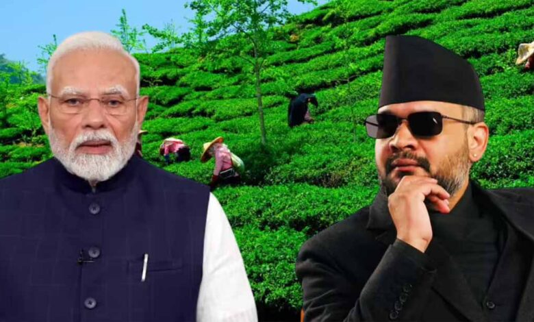 Nepal Tea Export India