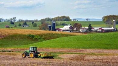 agriculture Land