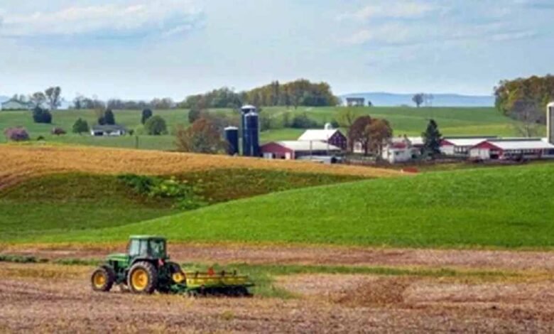 agriculture Land