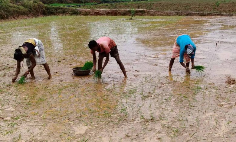 Kharif 2026